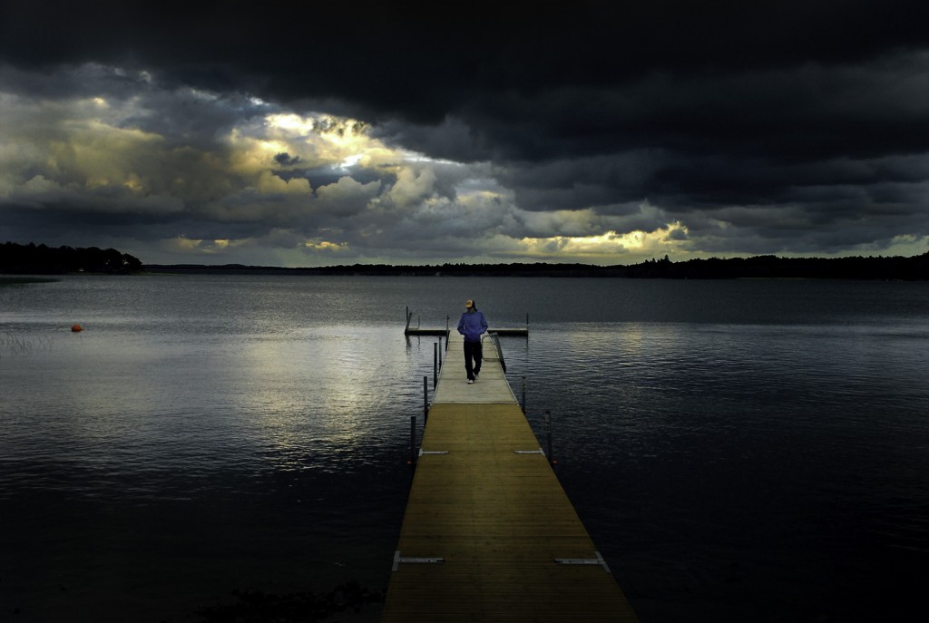 Copyright Andy Saiden Photography