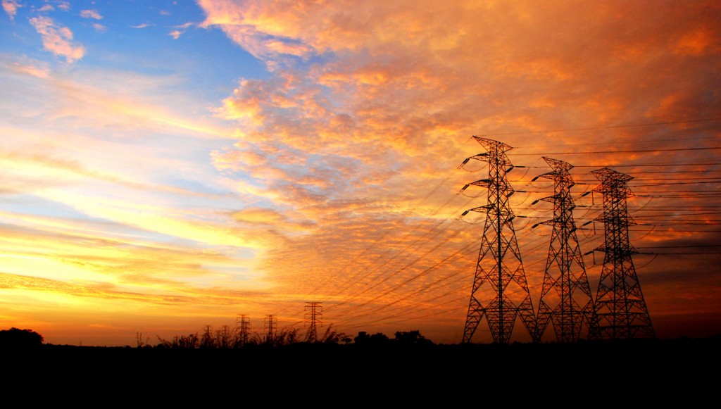 Copyright Andy Saiden Photography