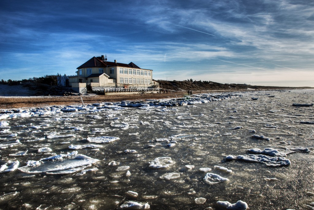 Copyright Andy Saiden Photography